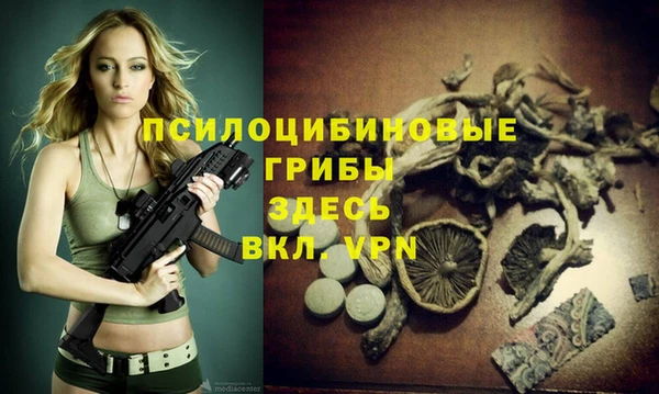 эйфоретик Абинск