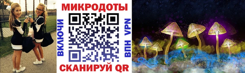 Галлюциногенные грибы Psilocybe  как найти наркотики  Черемхово 